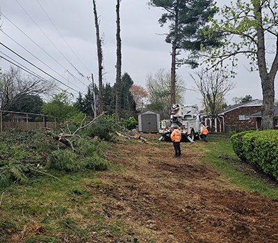 Land Clearing Near Me
