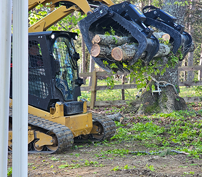 Paradise Tree Services Dandridge Tennessee