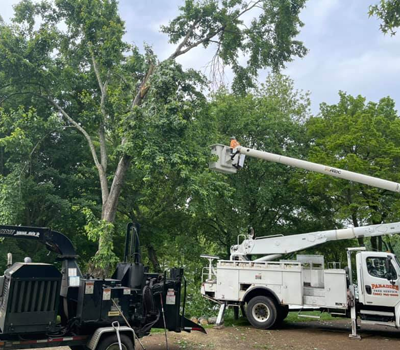 Quality Tree Service Morristown TN