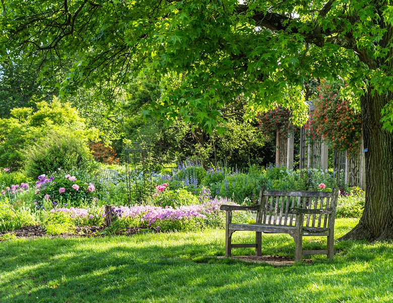 Tree Service Knoxville TN