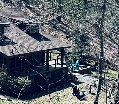 Tree Service Morristown TN