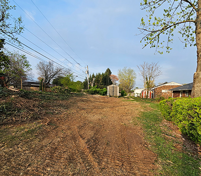 Tree Service Dandridge TN