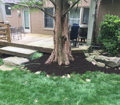 Trusted Tree Service Dandridge TN